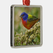 Geschilderde kardinaal metalen ornament (Rechts)