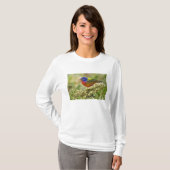 Geschilderde kardinaal t-shirt (Voorkant volledig)