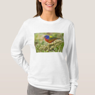 Geschilderde kardinaal t-shirt