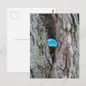 Geschilderde kleine regenboogrots verborgen in een briefkaart (Voorkant / Achterkant)