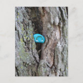 Geschilderde kleine regenboogrots verborgen in een briefkaart (Voorkant)