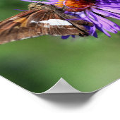 Geschilderde Lady Butterfly Wildflower Mirror Abst Poster (Hoek)
