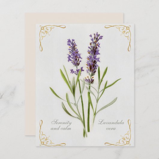 Geschilderde Lavandula Vera sereniteit en rust (Voorkant / Achterkant)