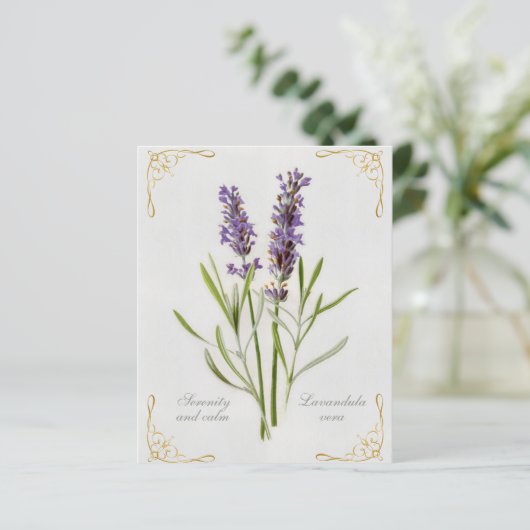 Geschilderde Lavandula Vera sereniteit en rust (Staand voorkant)