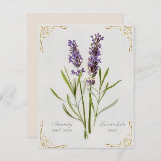 Geschilderde Lavandula Vera sereniteit en rust (Voorkant / Achterkant)