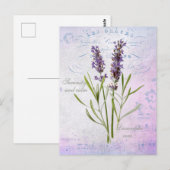 Geschilderde Lavandula Vera sereniteit en rust Briefkaart (Voorkant / Achterkant)