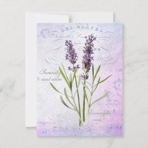 Geschilderde Lavandula Vera sereniteit en rust Briefkaart