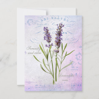 Geschilderde Lavandula Vera sereniteit en rust Briefkaart
