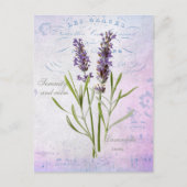Geschilderde Lavandula Vera sereniteit en rust Briefkaart (Voorkant)
