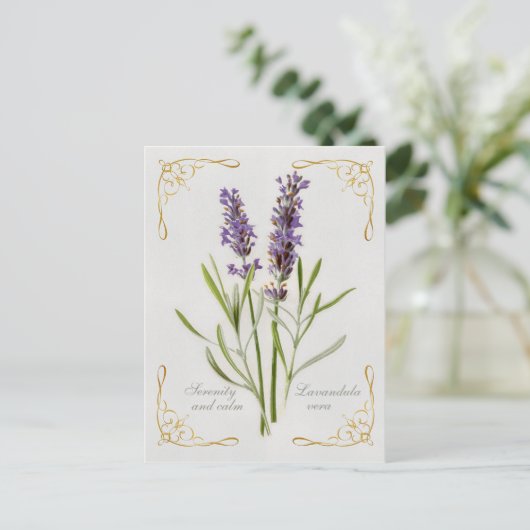 Geschilderde Lavandula Vera Serenity en Rust Briefkaart (Staand voorkant)
