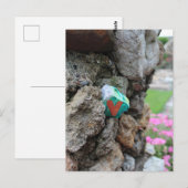 Geschilderde Little Heart Rock Verborgen in een Ro Briefkaart (Voorkant / Achterkant)