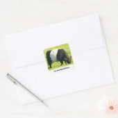 Geschilderde look Belted Galloway Koe in het veld Vierkante Sticker (Envelop)