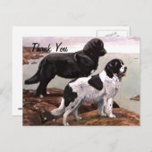 geschilderde newfoundland dank je briefkaart (Voorkant / Achterkant)