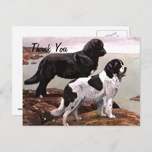  geschilderde newfoundland dank je briefkaart (Voorkant / Achterkant)
