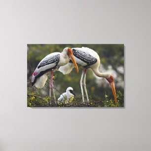 Geschilderde ooievaars en jong exemplaar in nest,  canvas afdruk