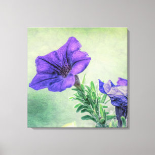 Geschilderde Paarse Petunia Canvas Art Afdruk