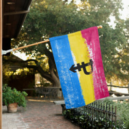 Geschilderde pansexuele trotsvlag huisvlag