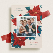 Geschilderde Poinsettias Kerstmis Foto