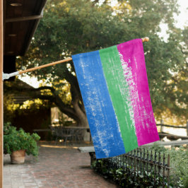 Geschilderde Polyseksuele Pridevlag Huisvlag