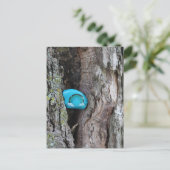 Geschilderde RAK Little Rainbow Rock Verborgen in  Briefkaart (Staand voorkant)