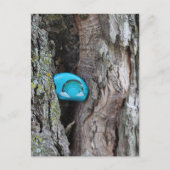 Geschilderde RAK Little Rainbow Rock Verborgen in  Briefkaart (Voorkant)