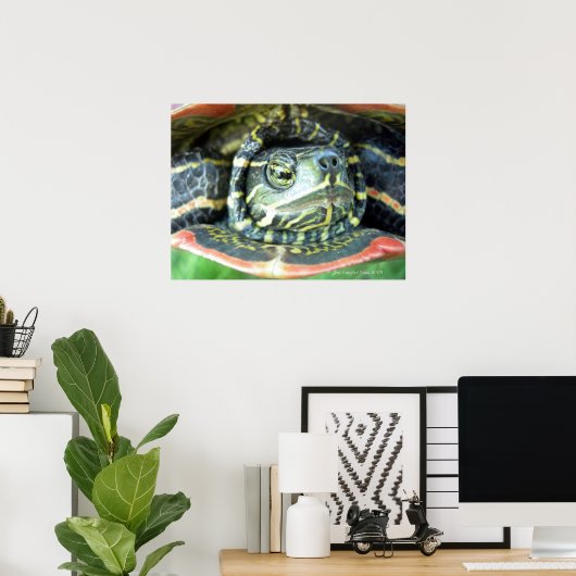 Geschilderde Schildpad (Chrysemys picta) 2 Poster (Thuiskantoor)