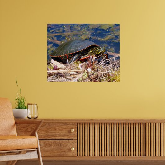 Geschilderde Schildpad (Chrysemys picta) 3 Poster (Woonkamer 2)