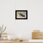 Geschilderde Schildpad Foto Poster (Keuken)