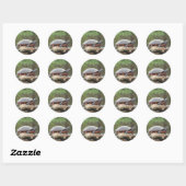 Geschilderde schildpad foto ronde sticker (Vel)