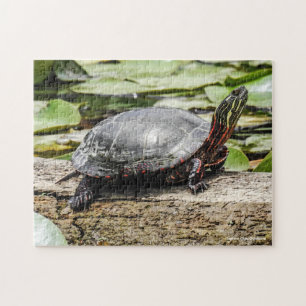 Geschilderde Schildpad Legpuzzel