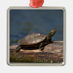 Geschilderde schildpad op een stam metalen ornament