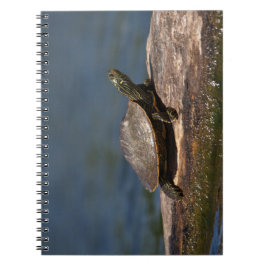 Geschilderde schildpad op een stam notitieboek