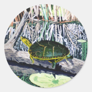 Geschilderde schildpad Sticker