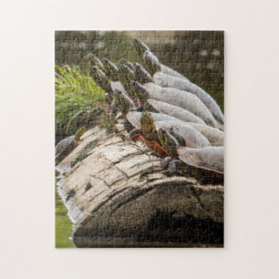 Geschilderde schildpadden zonnen zich in een vijve legpuzzel