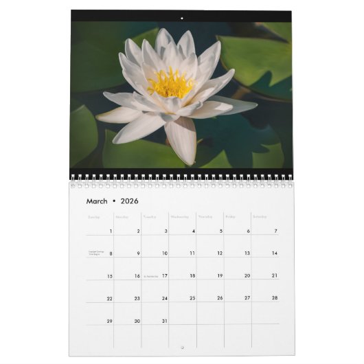 Geschilderde schoonheden kalender (Mar 2026)