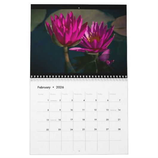 Geschilderde schoonheden kalender (Feb 2026)