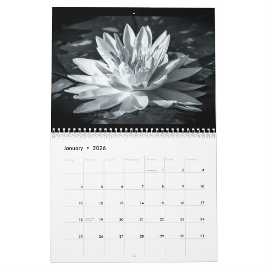 Geschilderde schoonheden kalender (Jan 2026)