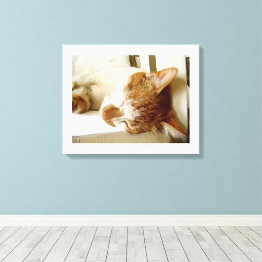 Geschilderde slaapkattenscène canvas afdruk (Insitu (Houten vloer))