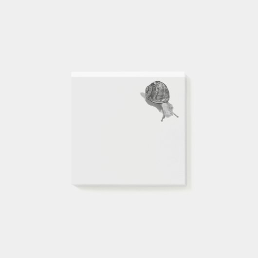 geschilderde slak post-it® notes (Voorkant)