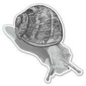 Geschilderde Snail Greyscale Sticker (Voorkant)