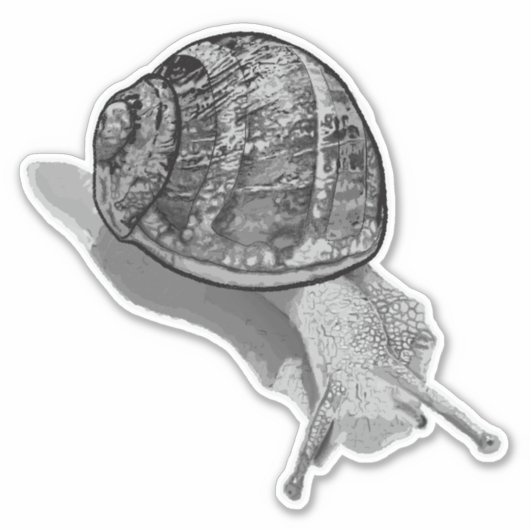 Geschilderde Snail Greyscale Sticker (Voorkant)