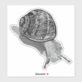 Geschilderde Snail Greyscale Sticker (Vel)