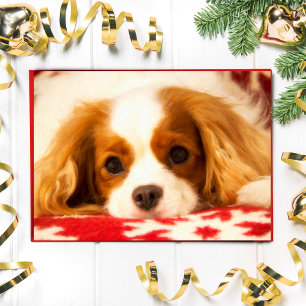 Geschilderde Sneeuwvlok Zoete King Charles Spaniel Feestdagen Kaart