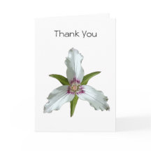 Geschilderde Trillium Spring Wildflower Dank u kaa