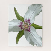Geschilderde Trillium Spring Wildflower puzzel (Verticaal)