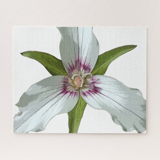 Geschilderde Trillium Spring Wildflower puzzel (Horizontaal)