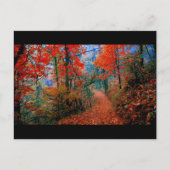 Geschilderde Waterverf voor herfst bos Briefkaart (Voorkant)