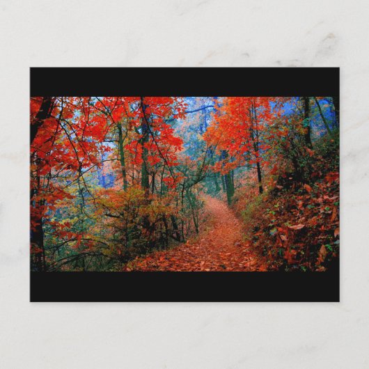 Geschilderde Waterverf voor herfst bos Briefkaart (Voorkant)