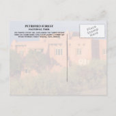 Geschilderde woestijn in, gezuiverd bos NP, AZ Briefkaart (Achterkant)