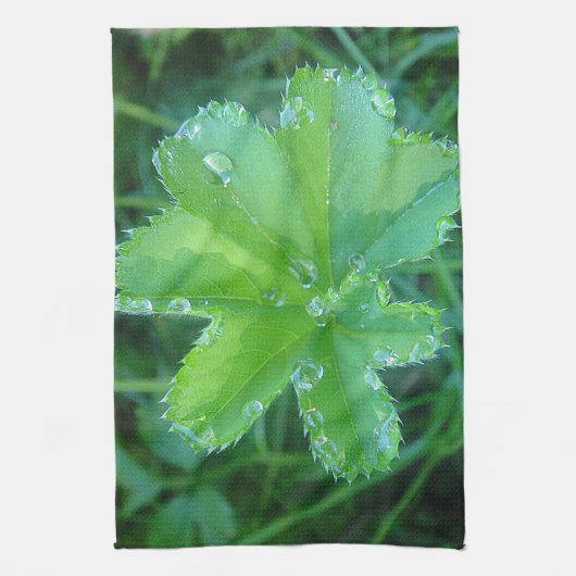 Geschirrtuch Wassertropfen auf Blatt Theedoek (Verticaal)